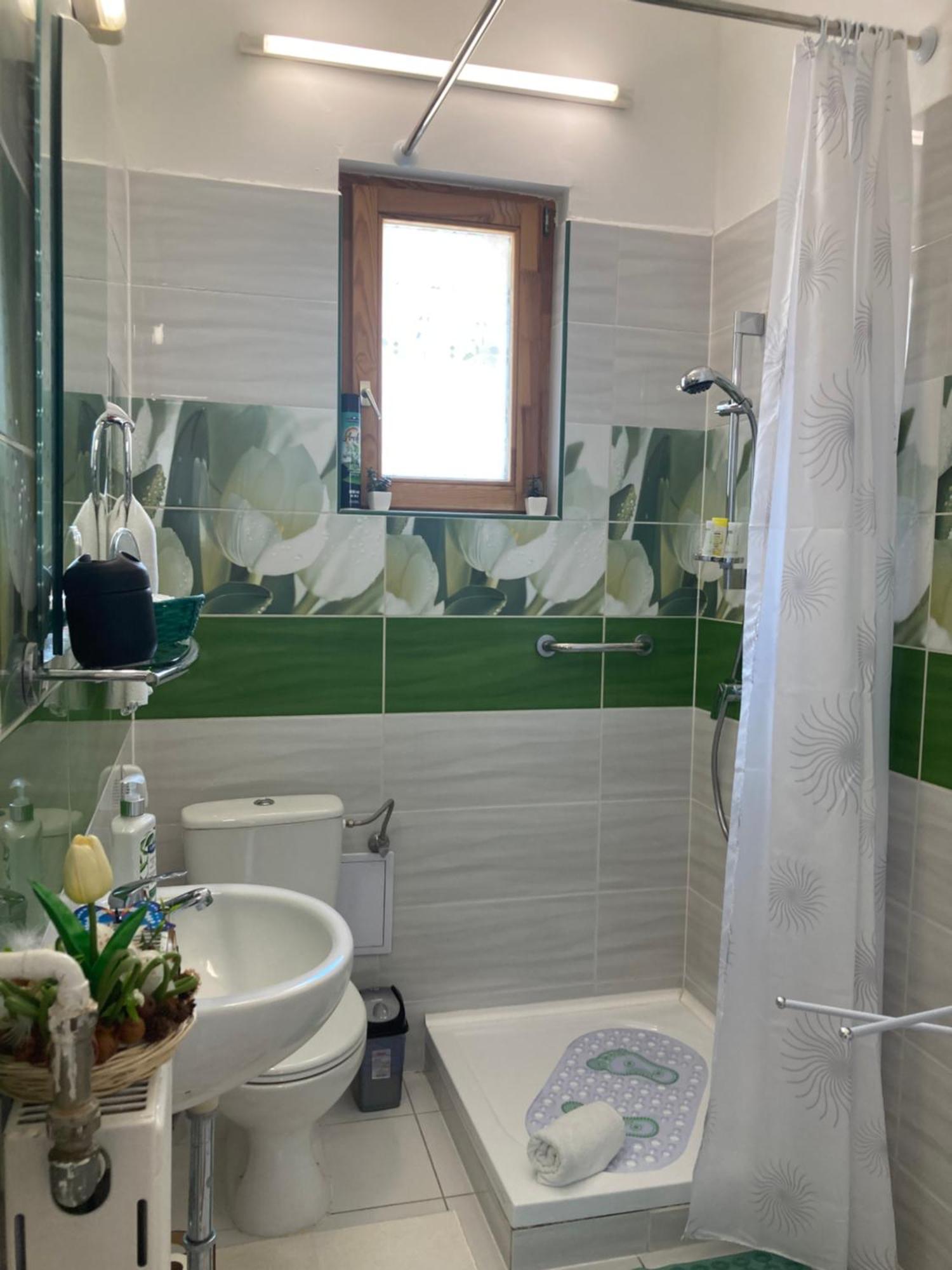 Ferienwohnung Tavaszpart Vendeghaz Szegedin Exterior foto